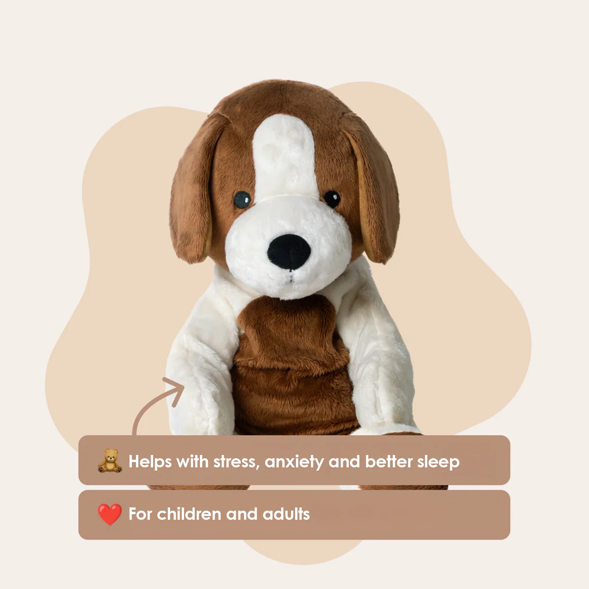 Lotgenootje Hond 2kg - Image 3