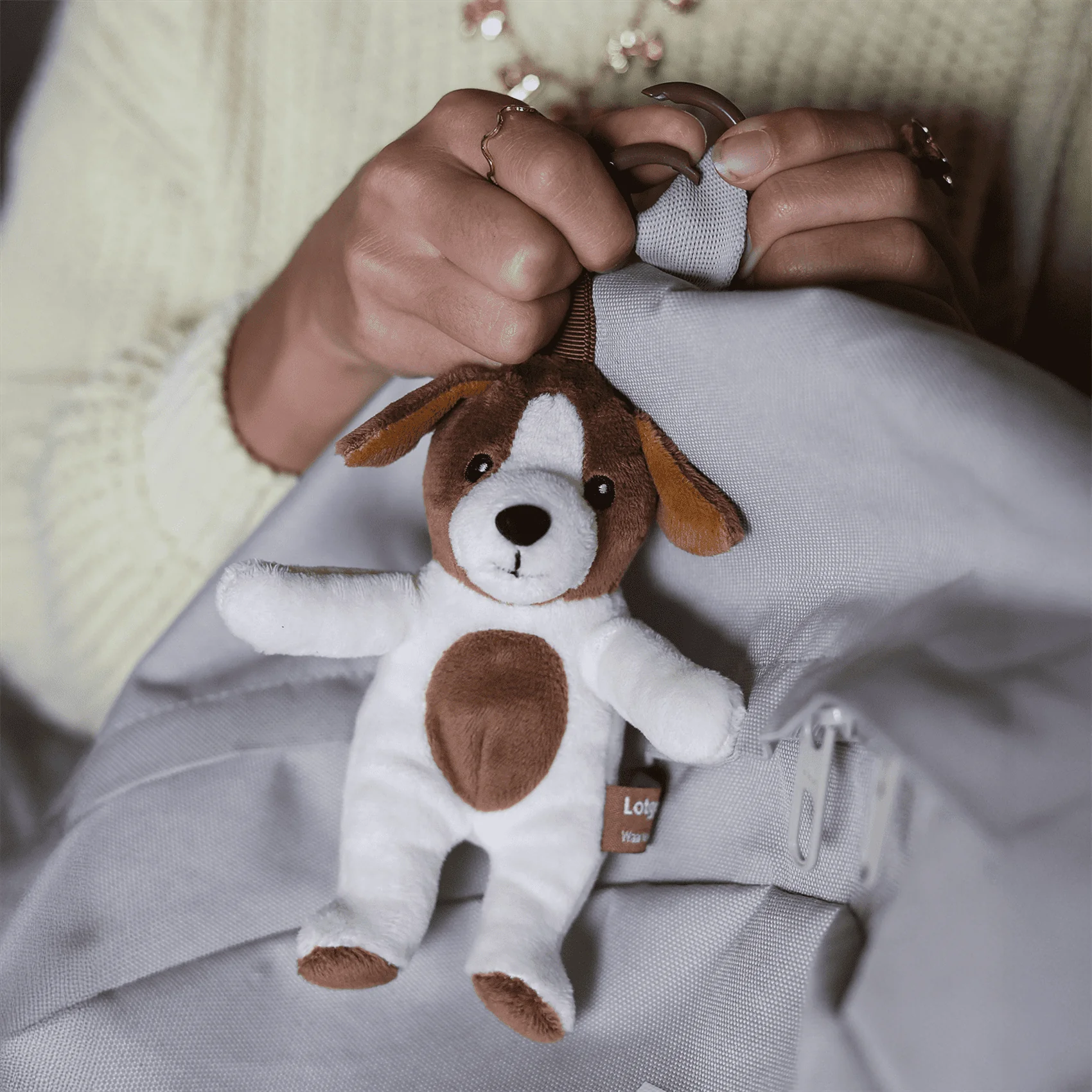 Reisgenootje Tashanger Hond - Image 20