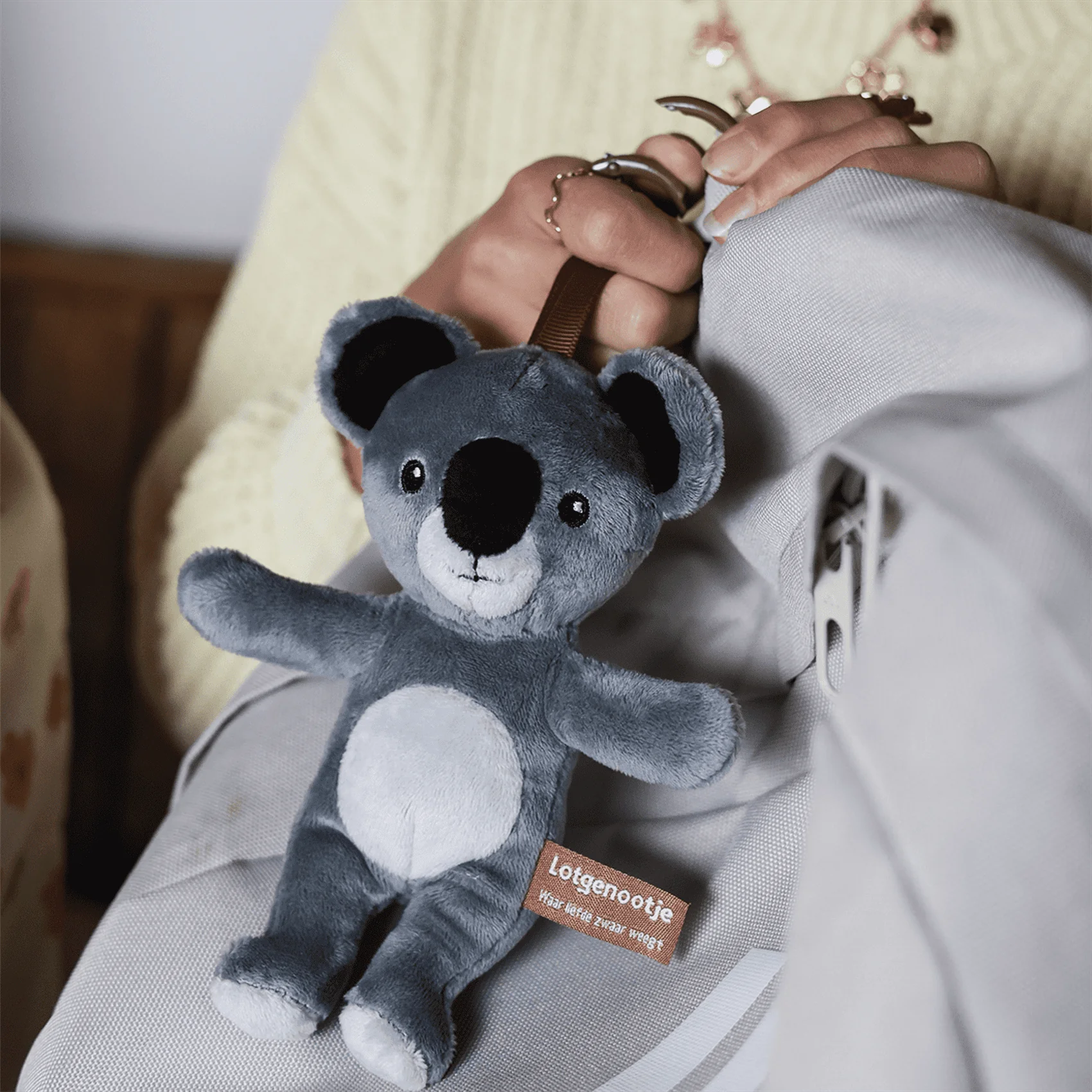 Reisgenootje Tashanger Koala - Image 20
